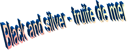 Black and silver - truite de mer