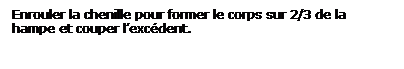 Zone de Texte: Enrouler la chenille pour former le corps sur 2/3 de la hampe et couper lexcdent.
