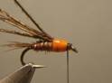 Description : http://www.mouche-concept.com/wp-content/uploads/2012/01/pto-8.jpg