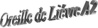 Oreille de Livre A2