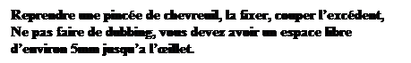 Zone de Texte: Reprendre une pince de chevreuil, la fixer, couper lexcdent, Ne pas faire de dubbing, vous devez avoir un espace libre denviron 5mm jusqua lillet.
